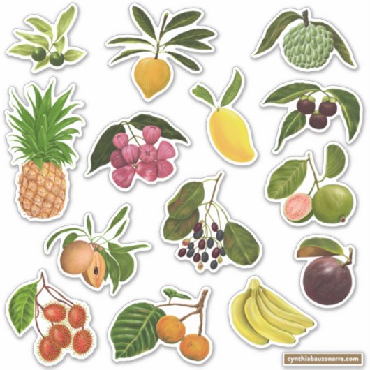 Sticker Philippine / Fruits tropicaux (Devant)