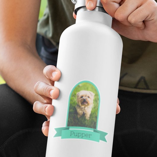 Sticker Photo Arch Pour Animaux