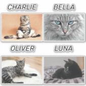 Sticker Photo de chat personnalisée et nom de chat animal  (Devant)