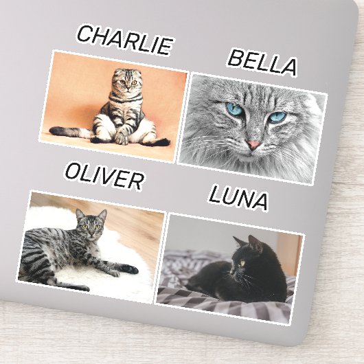 Sticker Photo de chat personnalisée et nom de chat animal  (Détail)
