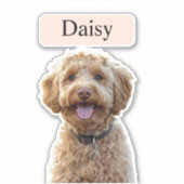 Sticker Photo de chien Empreinte de léopard personnalisée  (Devant)