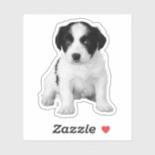 Sticker Photo de chiot blanc noir mignon (Feuille)