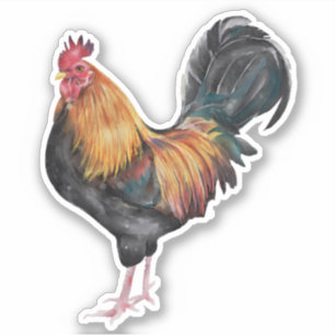 Sticker Photo de coq poulet