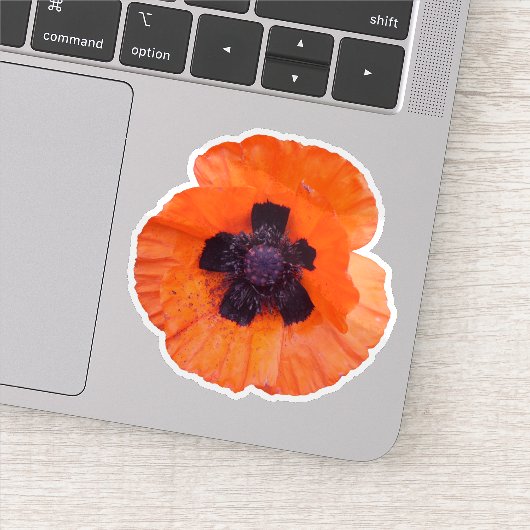 Sticker Photo de Coquelicot Rouge (Détail)