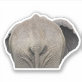 Sticker Photo de l'éléphant de queue (Devant)