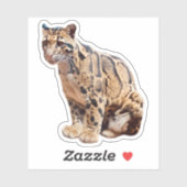 Sticker photo de léopard nuageux nature faune exotique (Feuille)