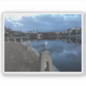 Sticker Photo de mouette (Devant)