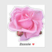 Sticker Photo de rose rose (Feuille)