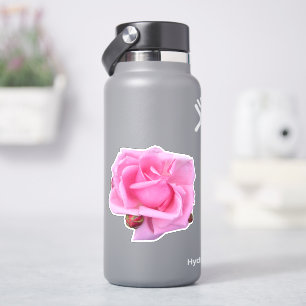 Sticker Photo de rose rose