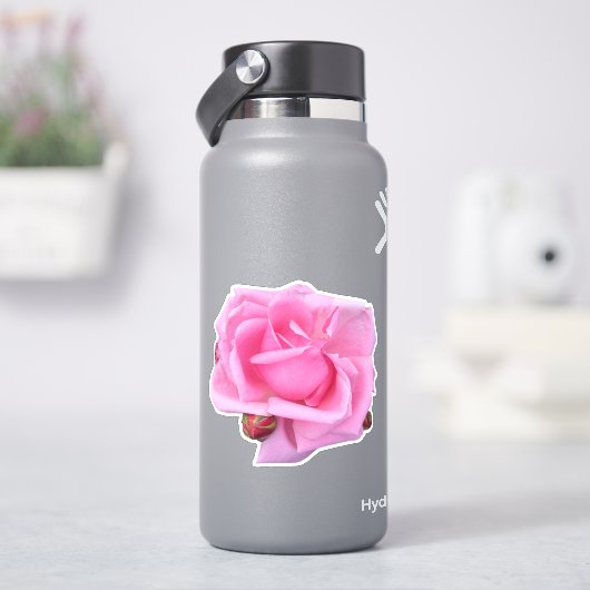 Sticker Photo de rose rose (HydroFlask)
