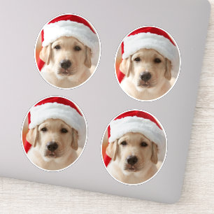 Sticker Photo en forme de tête de chien découpé sur mesure