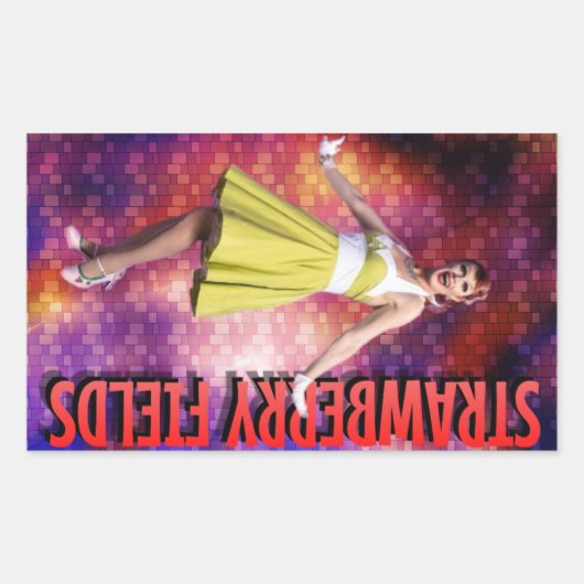 Sticker photo grand champs de fraises (Devant)