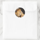 Sticker photo Lion (Sac)