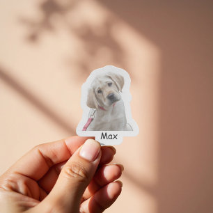 Sticker Photo personnalisé chiot Labrador Retriever