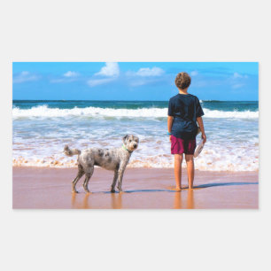 Sticker Photo Personnalisé Vos Photos