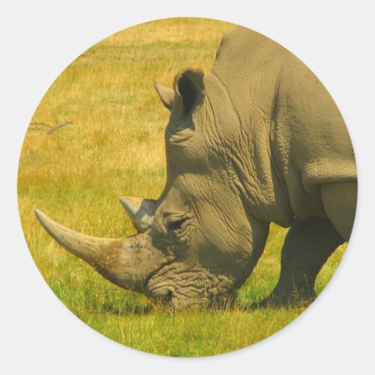 Sticker photo Rhino (Devant)