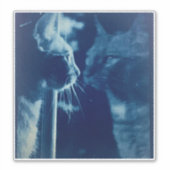 Sticker Photographie de chat en bécasse blanche (Devant)