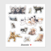 Sticker Photos de chats et chatons définition contour (Feuille)