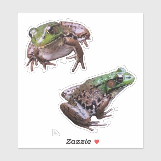 Sticker Photos de grenouilles vertes (Feuille)