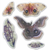 Sticker Photos Indiana Moth (Devant)