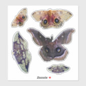Sticker Photos Indiana Moth (Feuille)