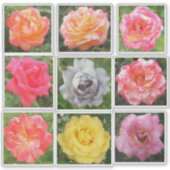Sticker Photos Roses solides et variées (Devant)