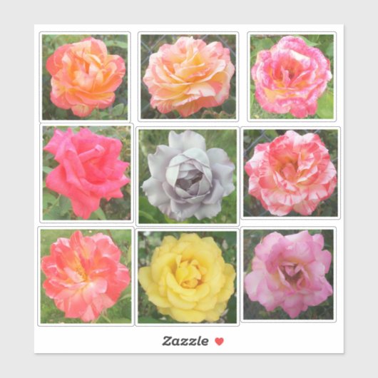Sticker Photos Roses solides et variées (Feuille)