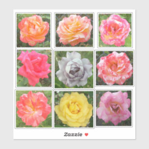 Sticker Photos Roses solides et variées agrées