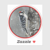 Sticker Pic Downy en neige - Photo originale (Feuille)