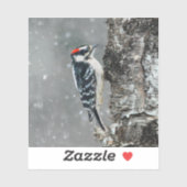 Sticker Pic Downy en neige - Photo originale (Feuille)