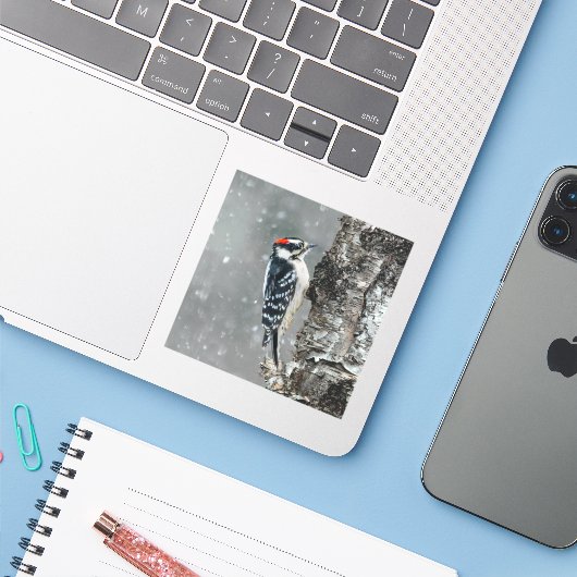 Sticker Pic Downy en neige - Photo originale (Ordinateur portable avec iPhone)
