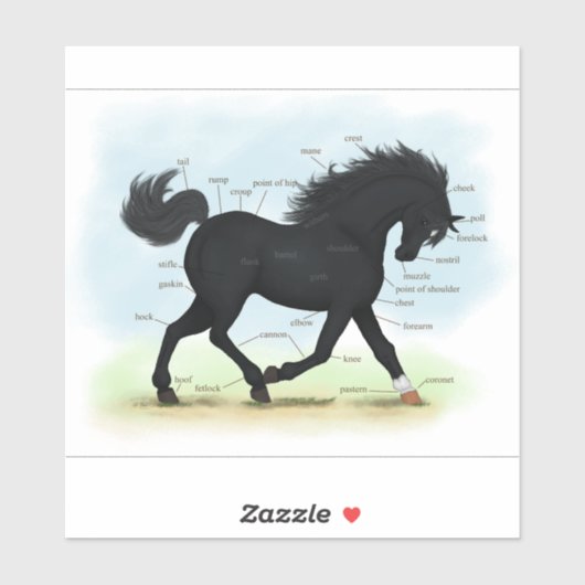 Sticker Pièces de beauté noire de l'anatomie du cheval (Feuille)