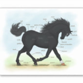 Sticker Pièces de beauté noire de l'anatomie du cheval (Devant)