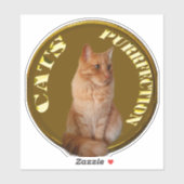 Sticker Pièces De Chat D'Or Avec Chat De Gingembre, (Feuille)