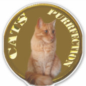 Sticker Pièces De Chat D'Or Avec Chat De Gingembre, (Devant)