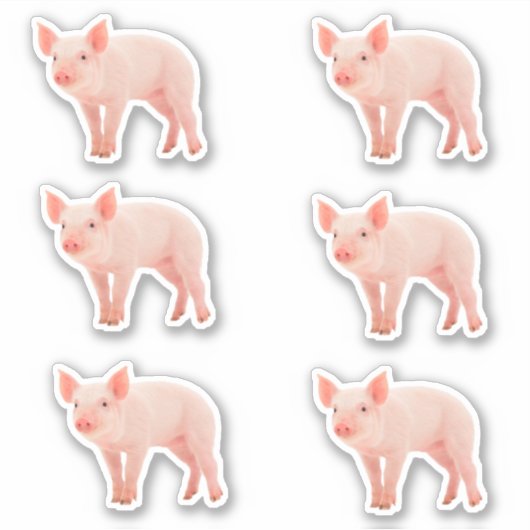 Sticker Piglet (Devant)