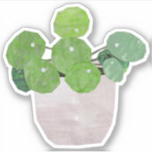 Sticker Pilea - plante maison (Devant)