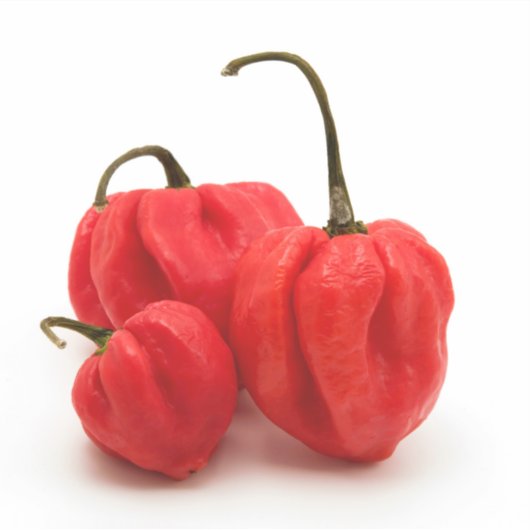 Sticker Pimento doux (Devant)