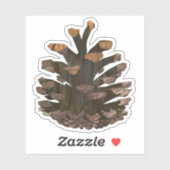 Sticker Pineocne (Feuille)