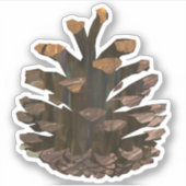 Sticker Pineocne (Devant)