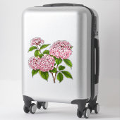 Sticker Pink Hydrangea Flowers in Full Bloom (Sur valise)
