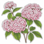Sticker Pink Hydrangea Flowers in Full Bloom (Devant)