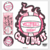 Sticker Pink Pouvez-Vous Le Creuser Volleyball (Feuille)