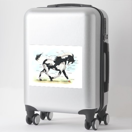 Sticker Pinto Overo Cheval Éducatif Equine Anatomie Graphi (Sur valise)