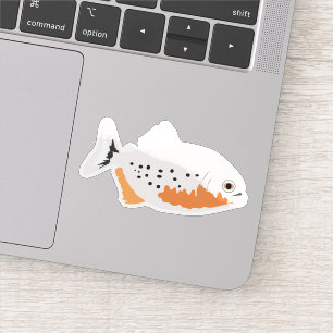 Sticker Piranha à ventre rouge