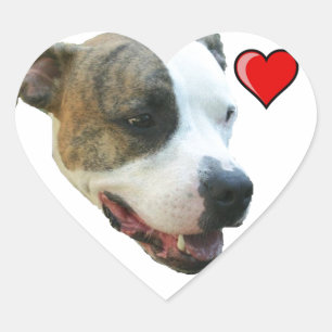 Sticker PItbull