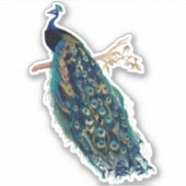 Sticker PixDezines Peacock Vintage Vert Bleu+Or (Devant)
