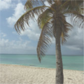 Sticker Plage d'Aruba I Belle Scène Nature (Recto)