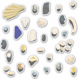 Sticker Plage de coquillages et galets