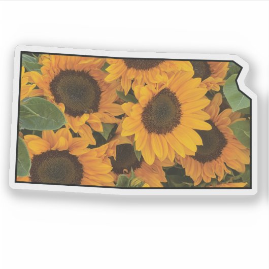 Sticker Plan du Kansas avec des tournesols (Devant)